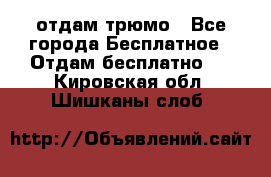 отдам трюмо - Все города Бесплатное » Отдам бесплатно   . Кировская обл.,Шишканы слоб.